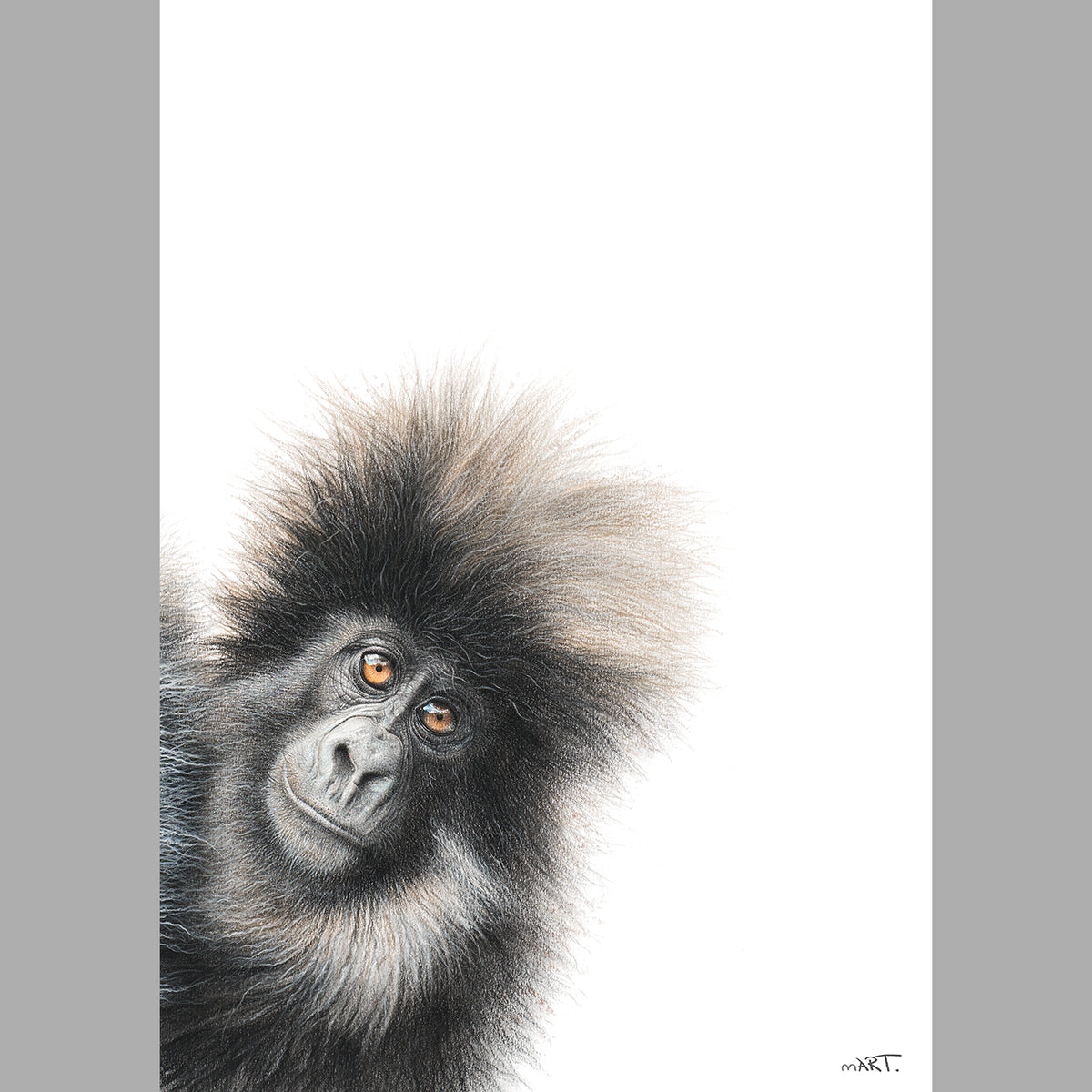 LIMITED PRINT - Mountain Gorilla 1 – Martin Aveling