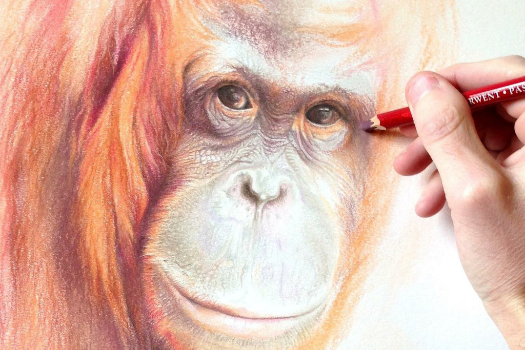 Explore Pastel Pencils with Martin Aveling