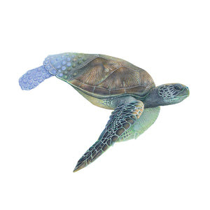 Drawing of a green sea turtle by wildlife artist Martin Aveling (mART)