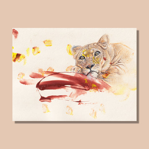 Marella & Mart - Lion