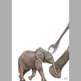 LIMITED PRINT -African Elephant III