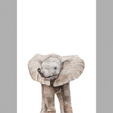 Full print dimensions and artwork composition of the limited edition print of a drawing of a young African elephant