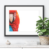 Example of a framed print 