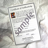 A photo of a sample certificate of authenticity from Redcliffe Imagine Ltd resting on a covered up artwork of a mongoose.